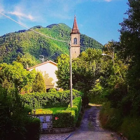 Peaceful With Garden