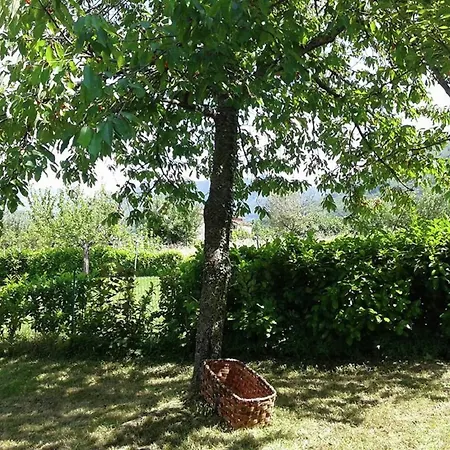 Peaceful Stay With Garden Tatil Evi