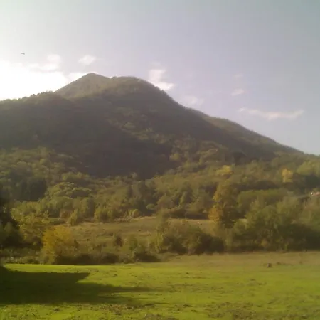 Peaceful Stay With Garden *