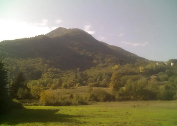 Peaceful Stay With Garden *